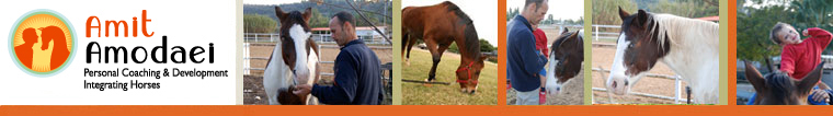 עמית אמודאי - אימון ופיתוח אישי בשילוב סוסים